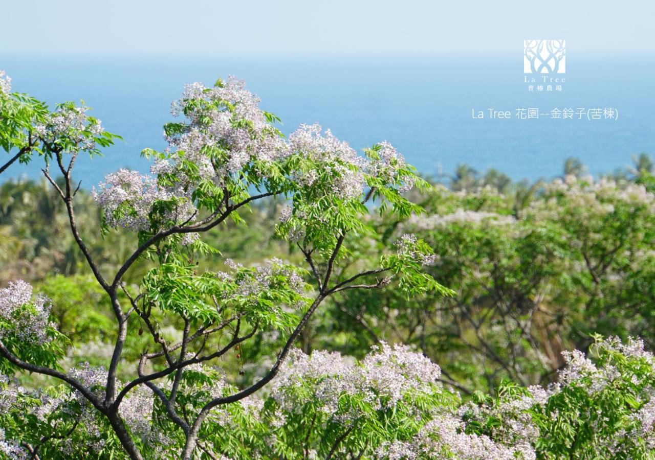 La Tree 普椿農場木子莊園 Apartman Tungho Kültér fotó