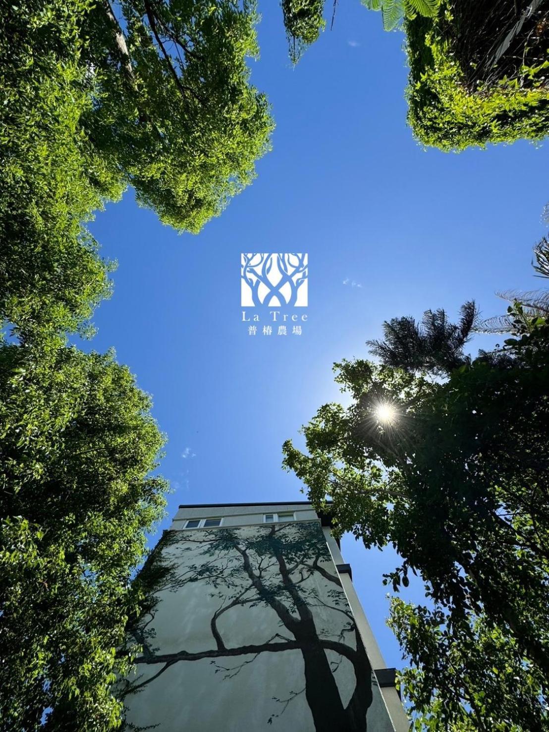 La Tree 普椿農場木子莊園 Apartman Tungho Kültér fotó